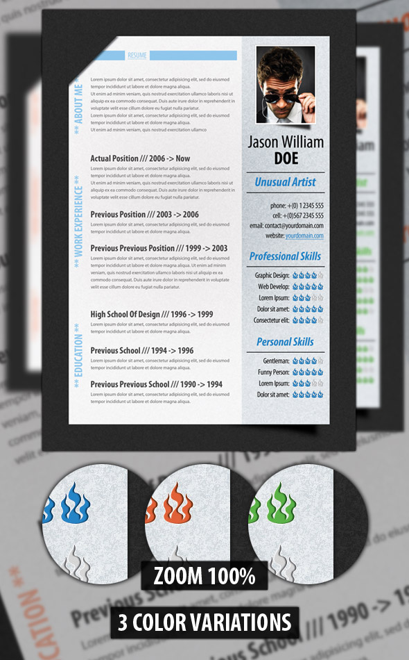 Professional Resume
