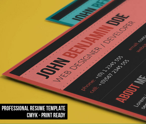 Elegant Resume Elegant Resume