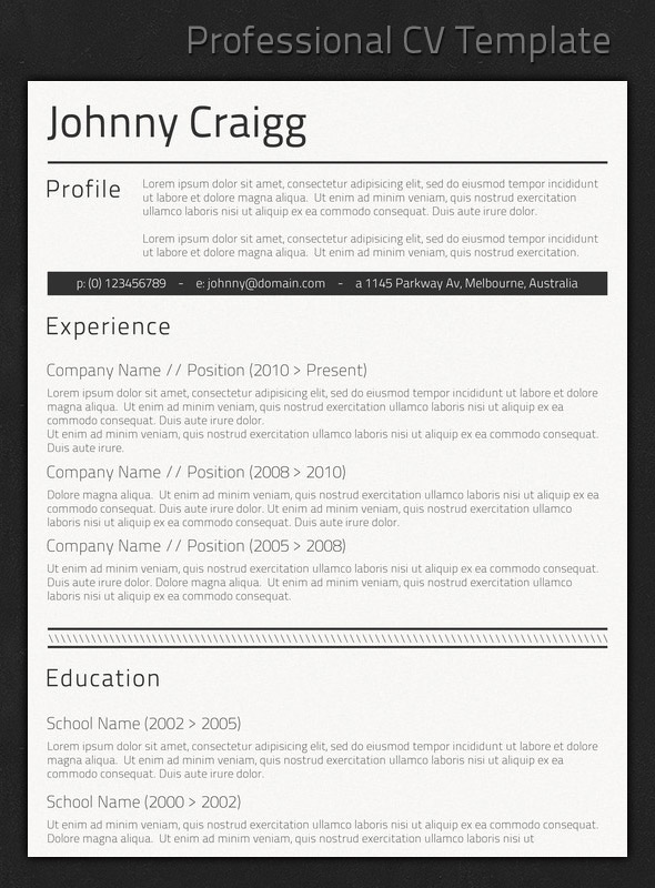 Best Professional Resume Template