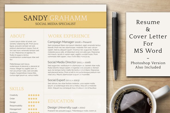 Professional CV Template