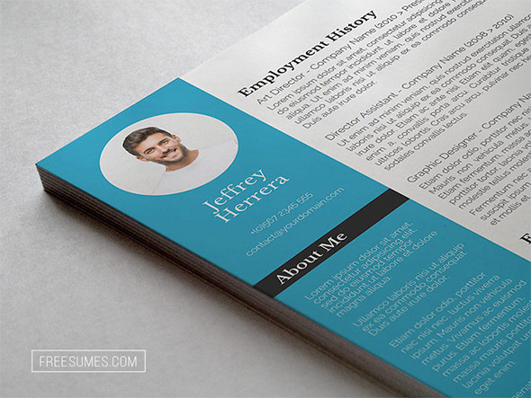 Professional Resume Template Set